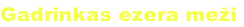 Gadrinkas ezera meži